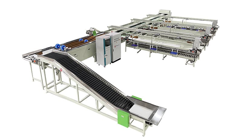 images/1660029187737clasificadora y empacadora de frutas.jpg